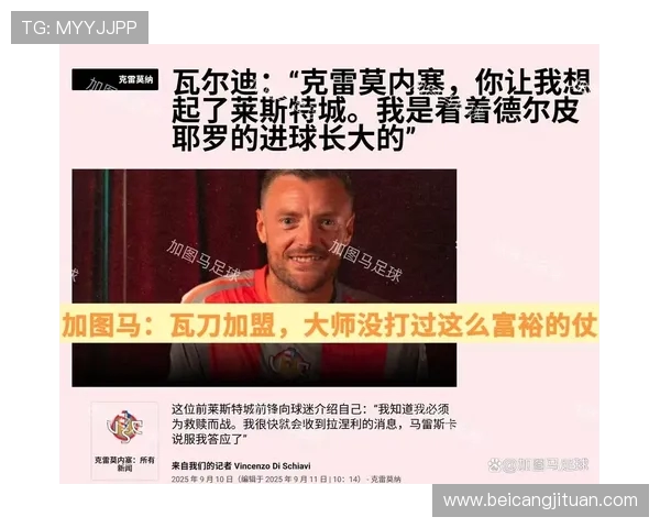 克雷莫纳锁定保级大师！升班马瞄准意甲生存之道(1)